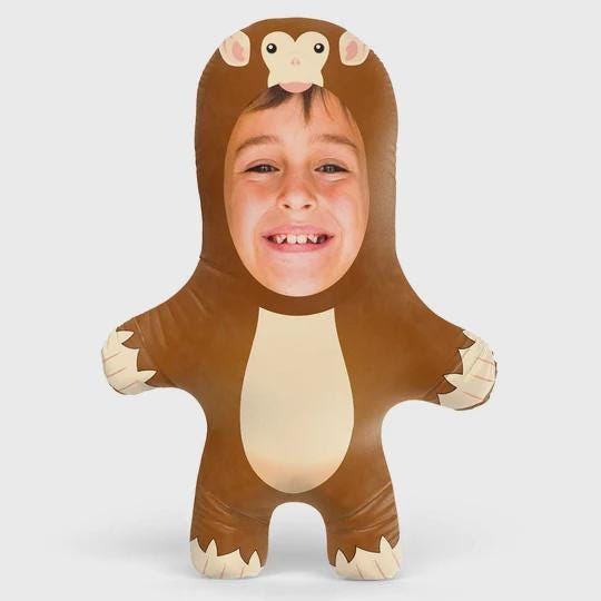 Personalised Monkey Teddy Bear | Custom Monkey Photo Pillow | Monkey Lover Gift