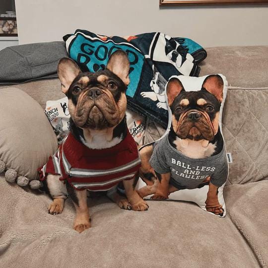 Dog Photo Pillow | Personalised Dog Pillow | Custom Pet Shaped Cushion