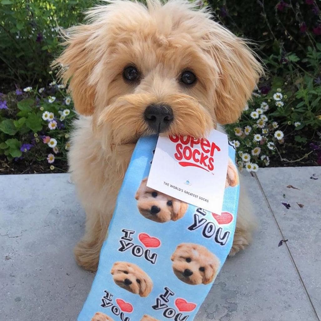 I Heart You Socks