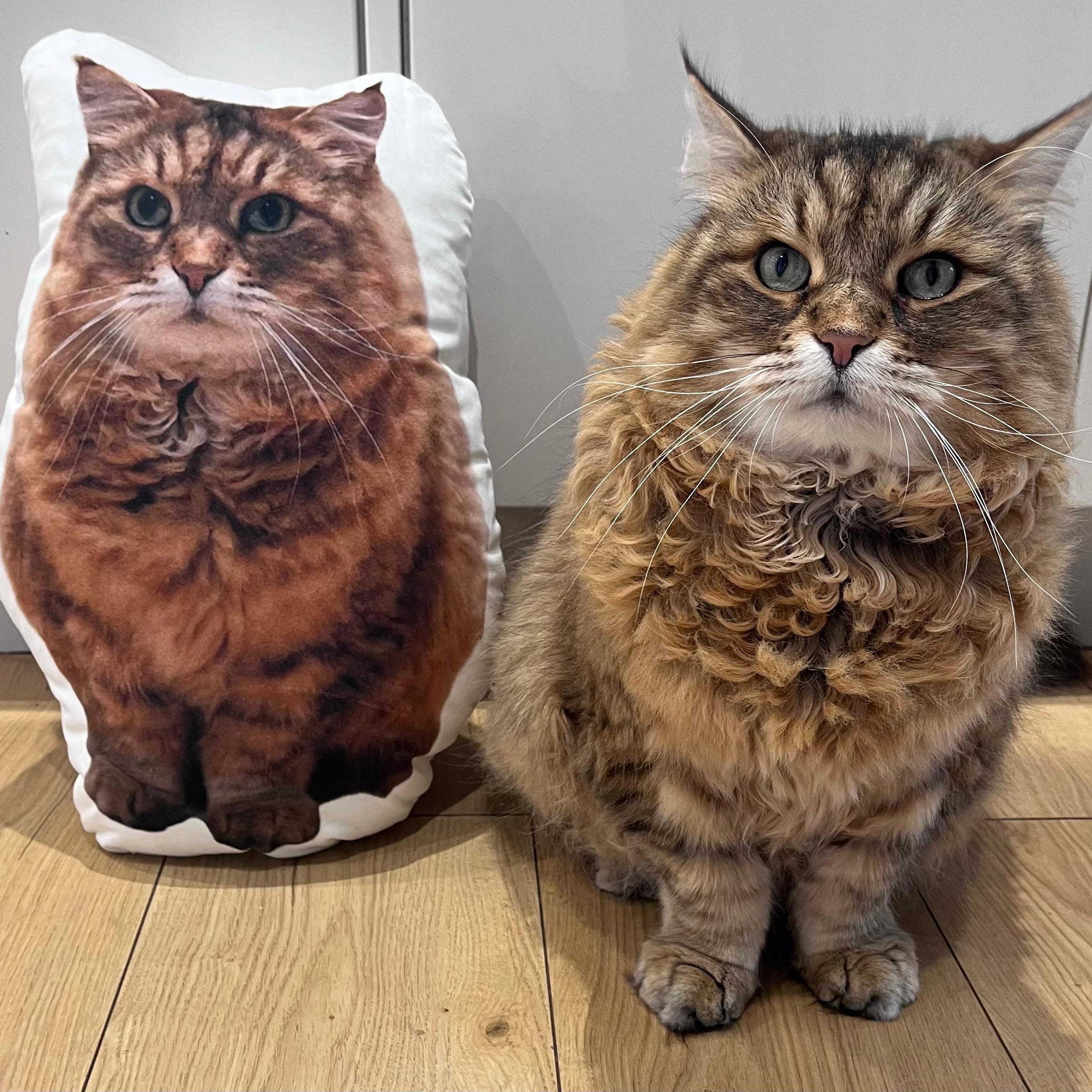 Cat Photo Face Pillow | Personalised Cat Pillow | Custom Pet Shaped Cushion