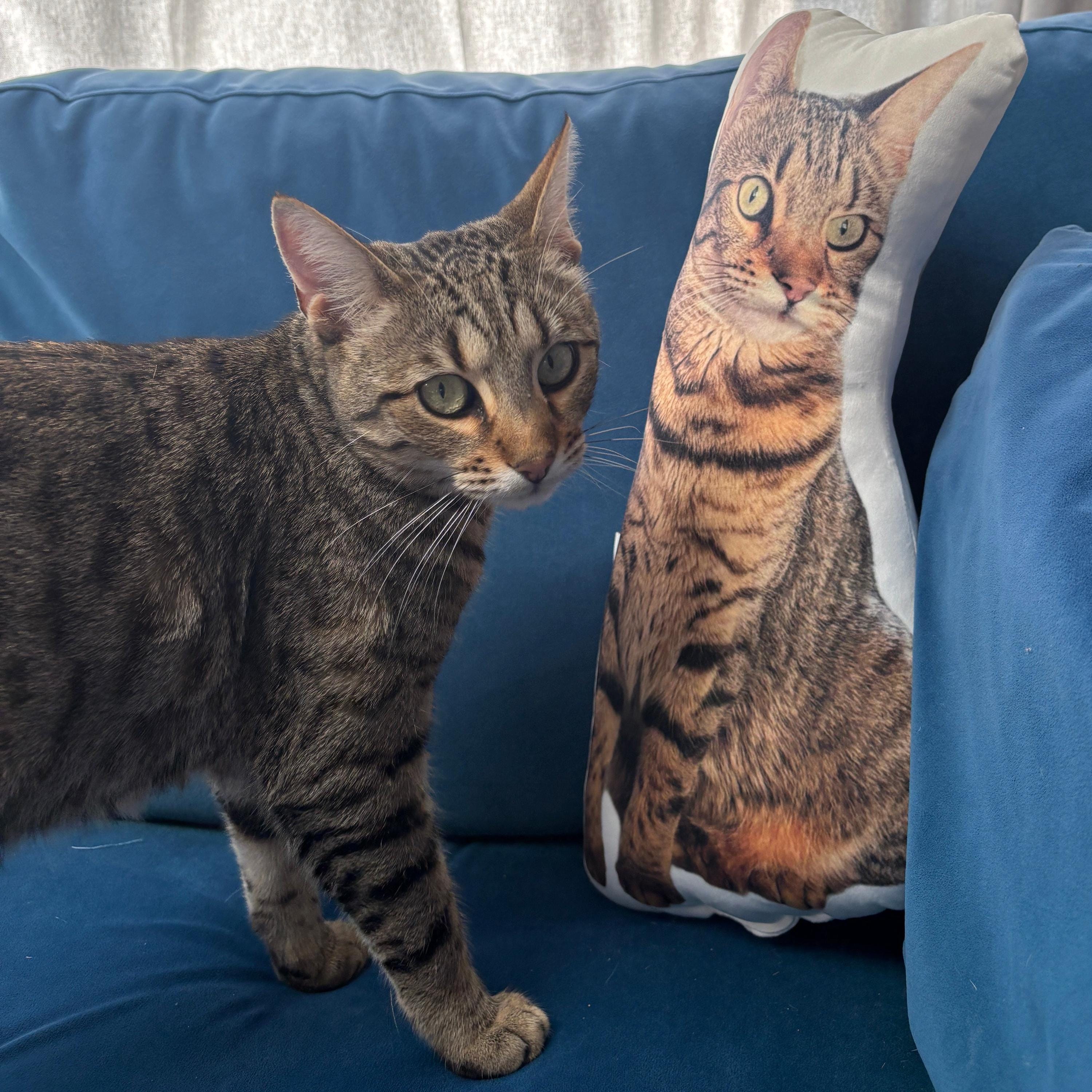 Cat Photo Face Pillow | Personalised Cat Pillow | Custom Pet Shaped Cushion