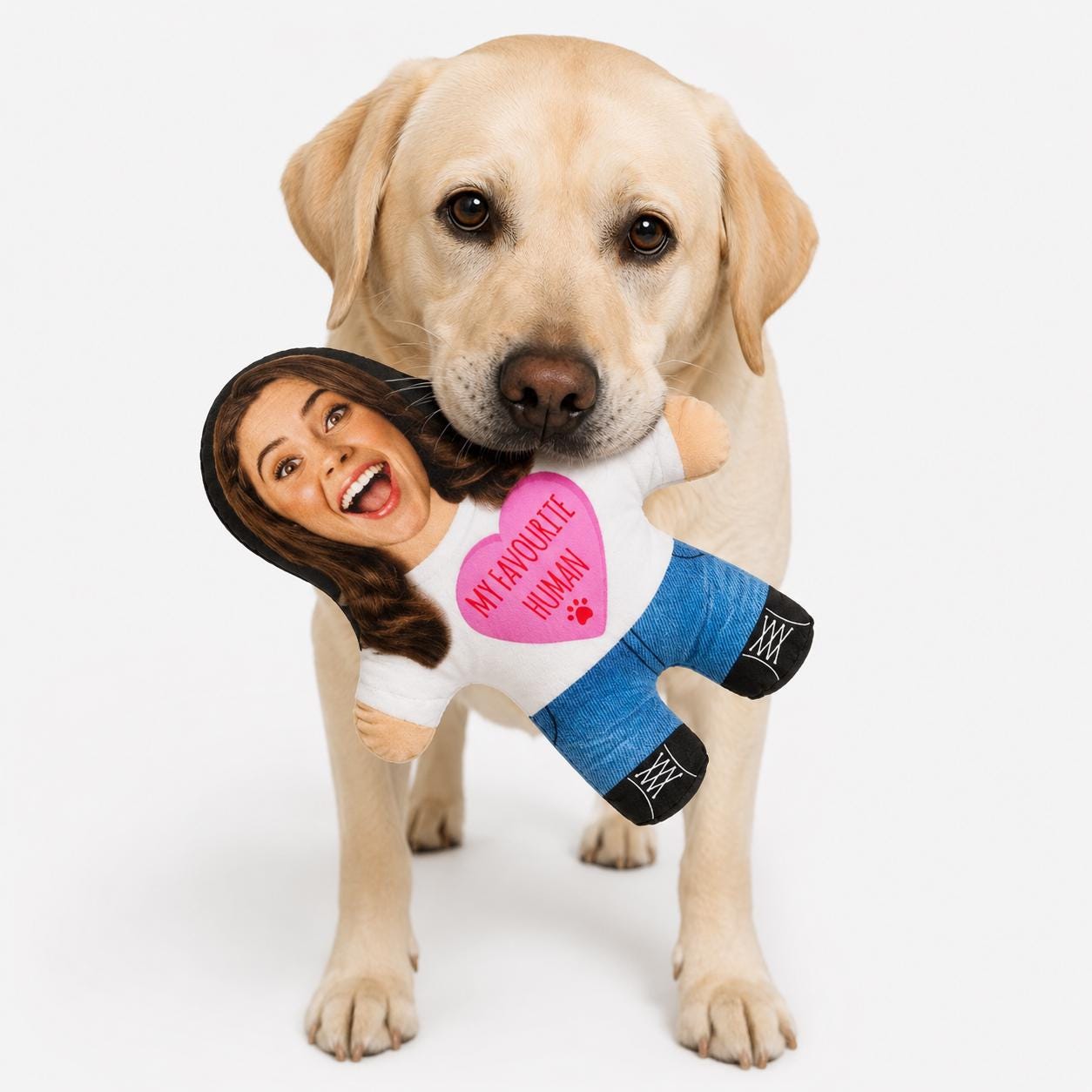 My Favourite Human Personalised Dog Toy | Custom Photo Dog Toy | Funny Squeaky Dog Toy
