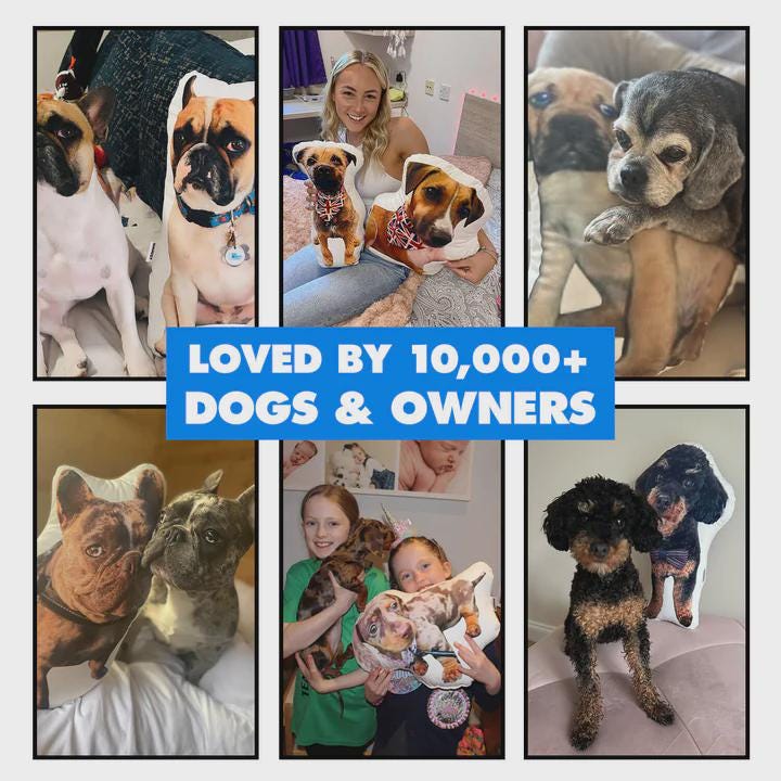 Dog Photo Pillow | Personalised Dog Pillow | Custom Pet Shaped Cushion