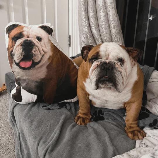 Dog Photo Pillow | Personalised Dog Pillow | Custom Pet Shaped Cushion